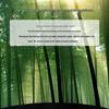 ZISIZ Disposable Bamboo Chopsticks