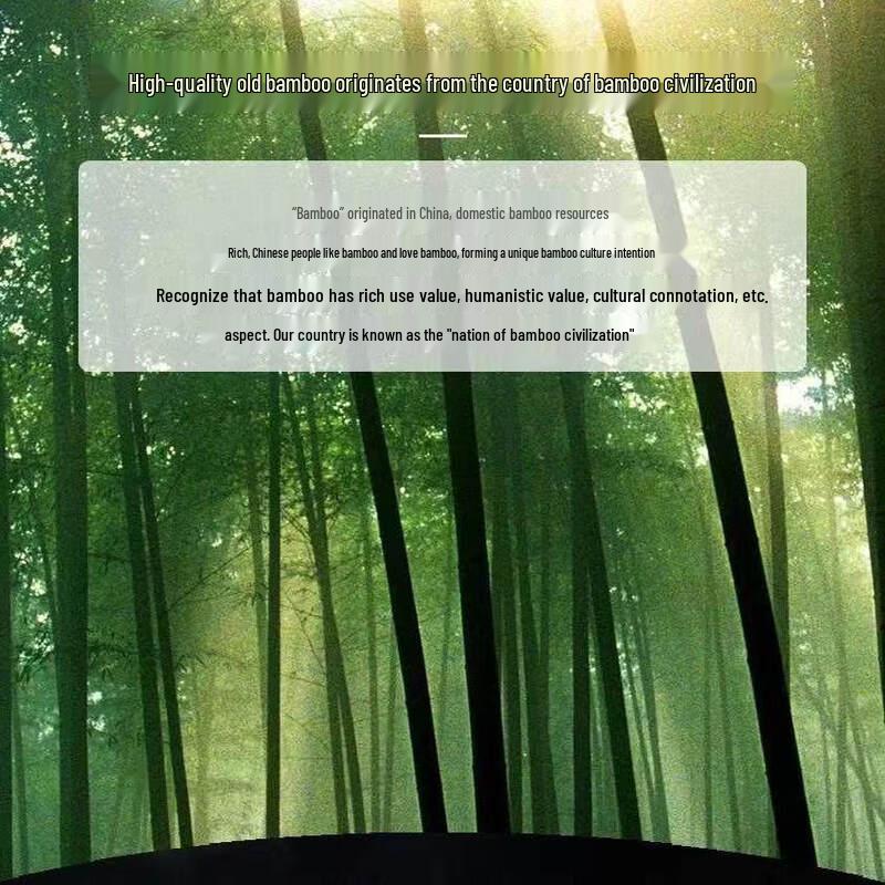 ZISIZ Disposable Bamboo Chopsticks
