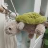 Милая плюшевая игрушка в виде черепахи, брелок, подвеска для сумки, для детей, подарки и украшение