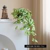 New Amazon hot-selling simulated green plants potted plants, European fresh home ornaments factory decorative green plants