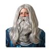 Wig Gray Beard Magician Sorcerer