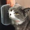 Кошачий самостоятельный грумер настенный стол ножки угловой массажный гребень кошачья щетка для груминга товары для домашних кошек