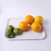 Japanese Style A5 Melamine Serving Tray
