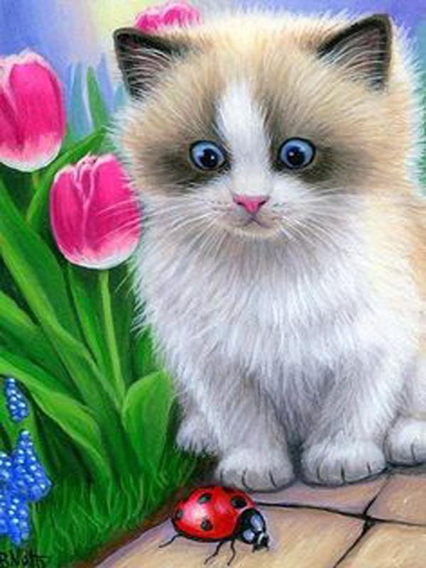 DIY алмазная живопись животное вышивка крестом ремесло полная круглая дрель кошка мозаика Алмазная вышивка домашний декор стены