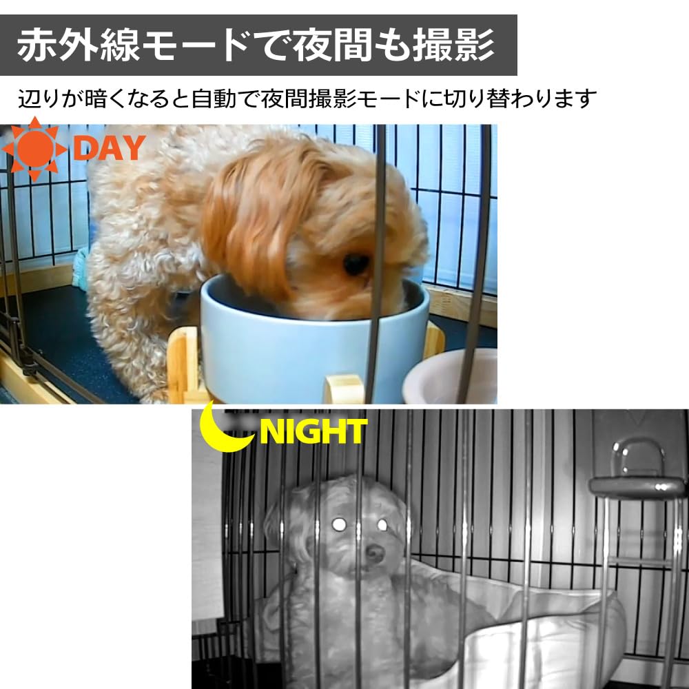 Broadwatch Security Surveillance Baby Pet 100x Elderly Alexa Google Easy Remote Motion Long Time Equipped with 2 Security Domestic Warranty Camera,