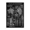 Human Anatomy Artwork Wall Picture Organ Muscle Skeleton Nordic Canvas Print Vintage Poster Art Painting Medical Clinic Decor