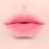 Dinto Blurring Lip Veil Tint 10 цветов