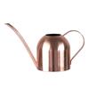 Stainless Steel Watering Can Plant Watering Pot with Long Spout Watering Can Gardening Tools 450ml