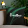Unique Luxury Design Pomellato-A Pillow Case Anti-dustmite Pillowcase Invisible Zipper Silky Short Plush Sofa Cushion Cover
