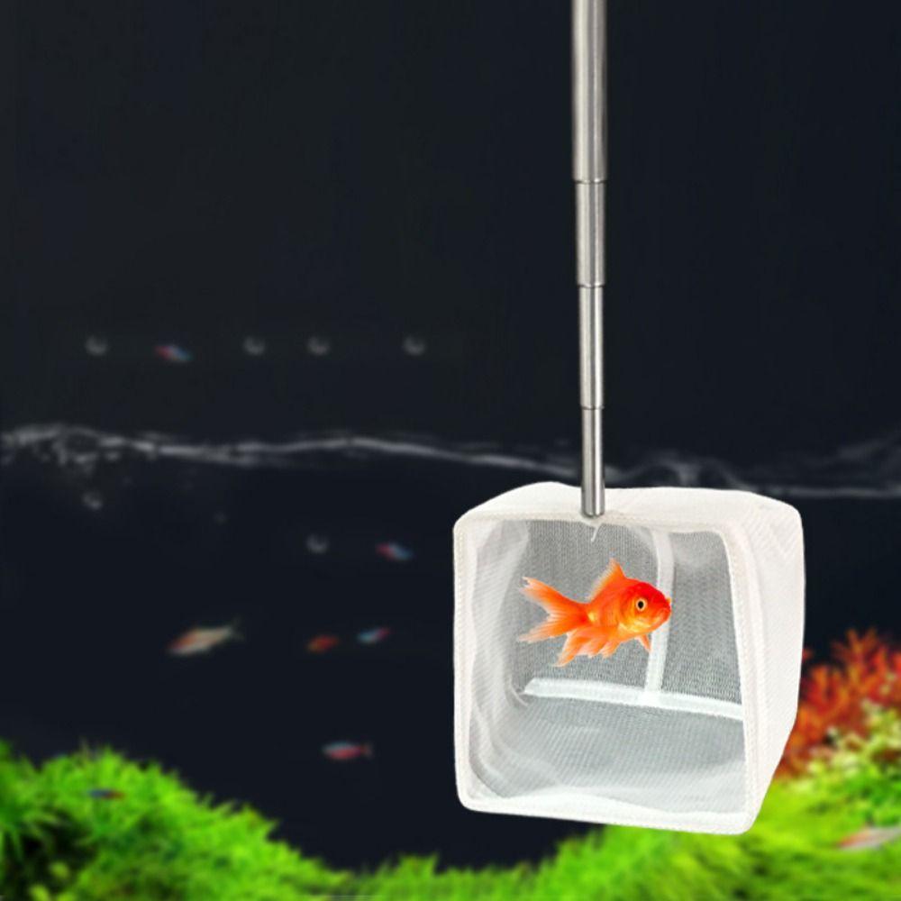 Telescopic Goldfish Net Long Handle Shrimp Net Practical Fish Tank Fish Nets Cleaning