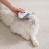 Расческа для удаления кошачьей шерсти для коротких и длинных волос: Щетка для расчесывания ракушек