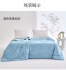 Organic 100% Silk Quilt
