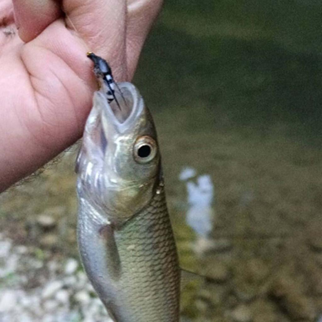 5/10/20/25 шт./кор. премиум-класса, искусственные насекомые, сухие мухи, приманка для рыбалки на форель