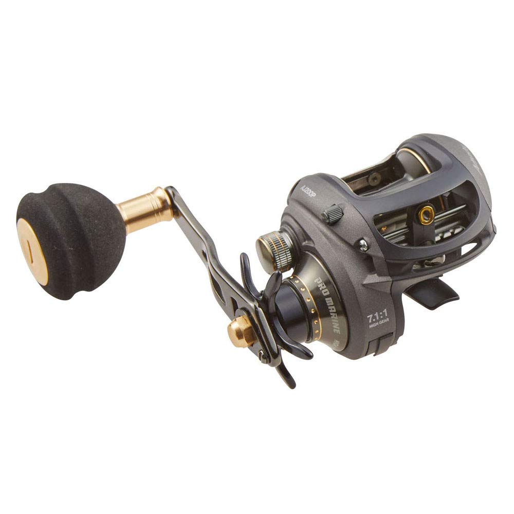 Рыболовная катушка с мультипликатором PRO MARINE Adjusty AJ200P, Катушка, Двухосевая