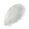 Ostrich Feathers Decoration Soft Comfortable Touch 45x10x1cm  White Ostrich Feathers For Party Home
