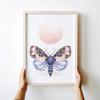 Плакат «Мотылёк-бабочка» для детской комнаты