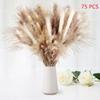 75 PCS Natural Dried Pampas Grass Decor 17Inch for Flower Arrangements Wedding Home Decor KTY