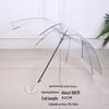 EVO Custom Transparent Eco-Friendly Automatic Umbrella with Long Handle - Perfect for Advertising and Gifts