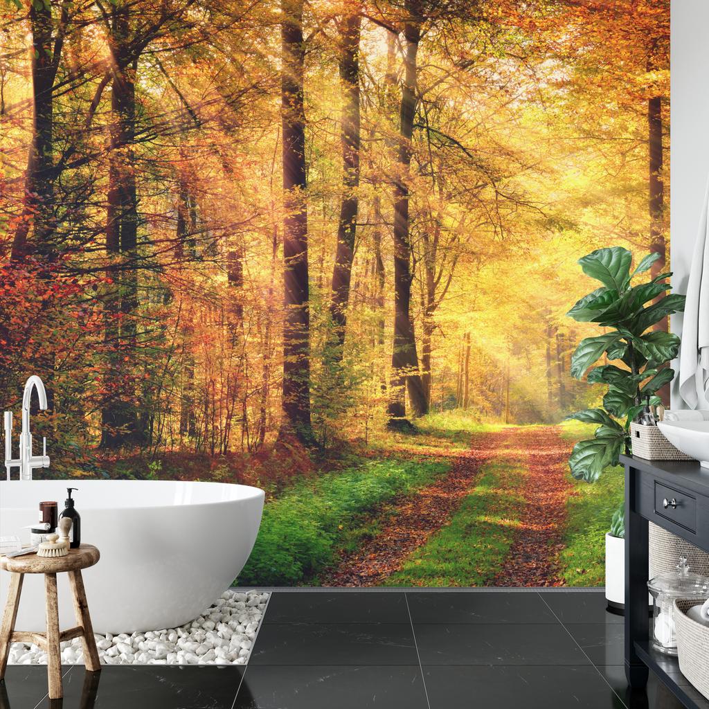 Photomural Forest Autumn Colors Self-Adhesive Mural 270x180