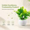 Green Leaves Faux Plant Bonsai with Flowerpot Simulation Green Plant  Home Decoration
