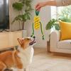 Interactive Squeaky Chew Toys for Dogs Cotton Rope Dog Toy Aggressive Chewers, Vegetable Shaped Puppy Teething Exercise Active Training Toy,