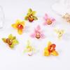 Korean Style Large Flower Earrings Butterfly Orchid Bohemian Dangle Earring  Decoration