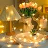 ANJAYLIA 20 LED Star Lights, 10FT Battery Operated Fairy Light, Warm White | Battery Powered Fairy Light for Indoor & Outdoor, Battery String Light