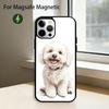Cute Cartoon Bichon P-puppy Phone Case For iPhone17,16,15,14,13,12,11 Plus,Pro Magnetic with Magsafe Wireless Charging