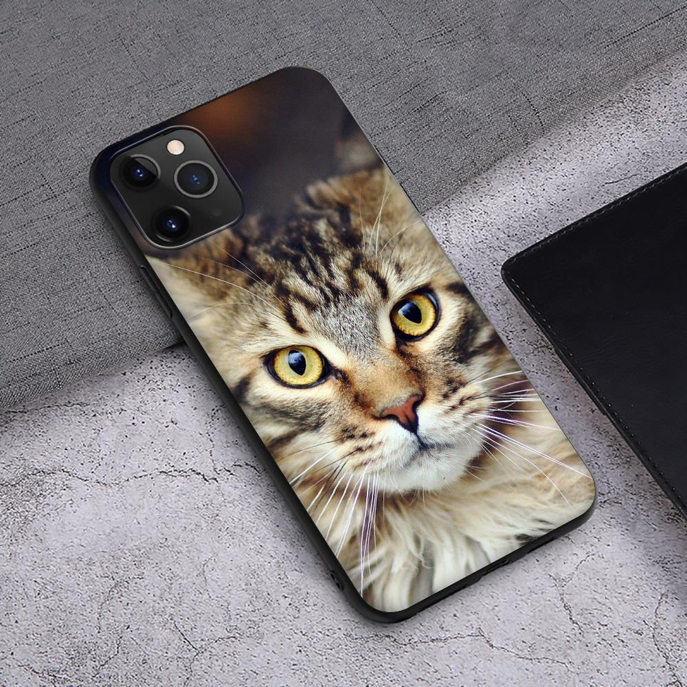 Чехол T145 с изображением кота мейн-куна для iPhone 13 12 Mini 11 Pro XS Max XR X 8 7 6 6S Plus 5 5S SE 2020