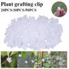 20/30/50 шт. зажимы для прививки растений мини пластиковые зажимы для привязывания овощей и фруктов виноградные лозы опоры для рассады соединители фиксирующие зажимы