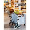 Yike Wei Foldable Shopping Trolley