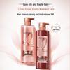 Шампунь L'Oréal Paris Имбирная сила и контроль жирности 660 мл