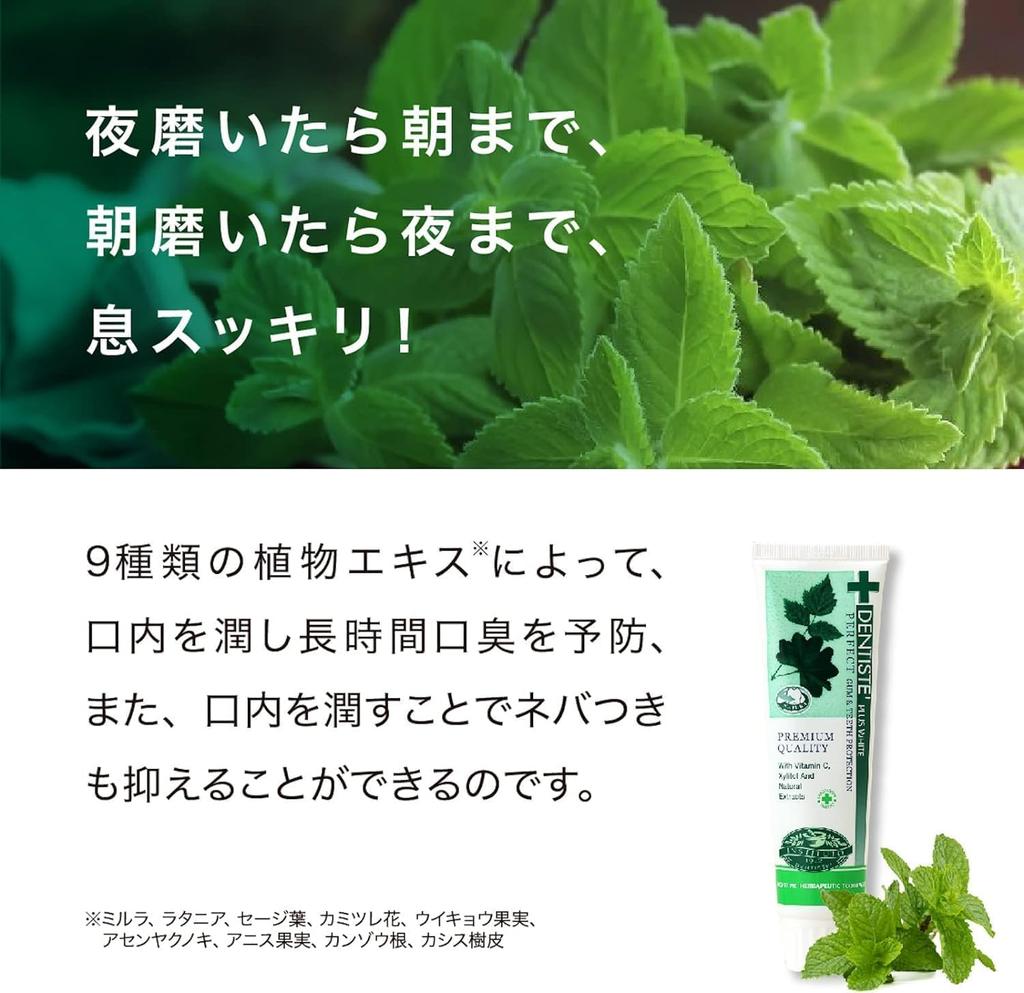 DENTISTE tube type 100g x 3 set DENTISTE Our original message card included store's