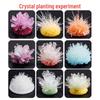 Kids' Crystal Planting Science Experiment Set: Handmade DIY Crystal Growth Kit for Elementary School Education