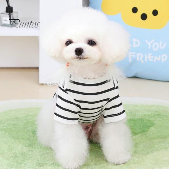 Милая тонкая футболка с круглым вырезом и рисунком медведя из мультфильма «Домашние животные», летний полосатый свитер для повседневной носки