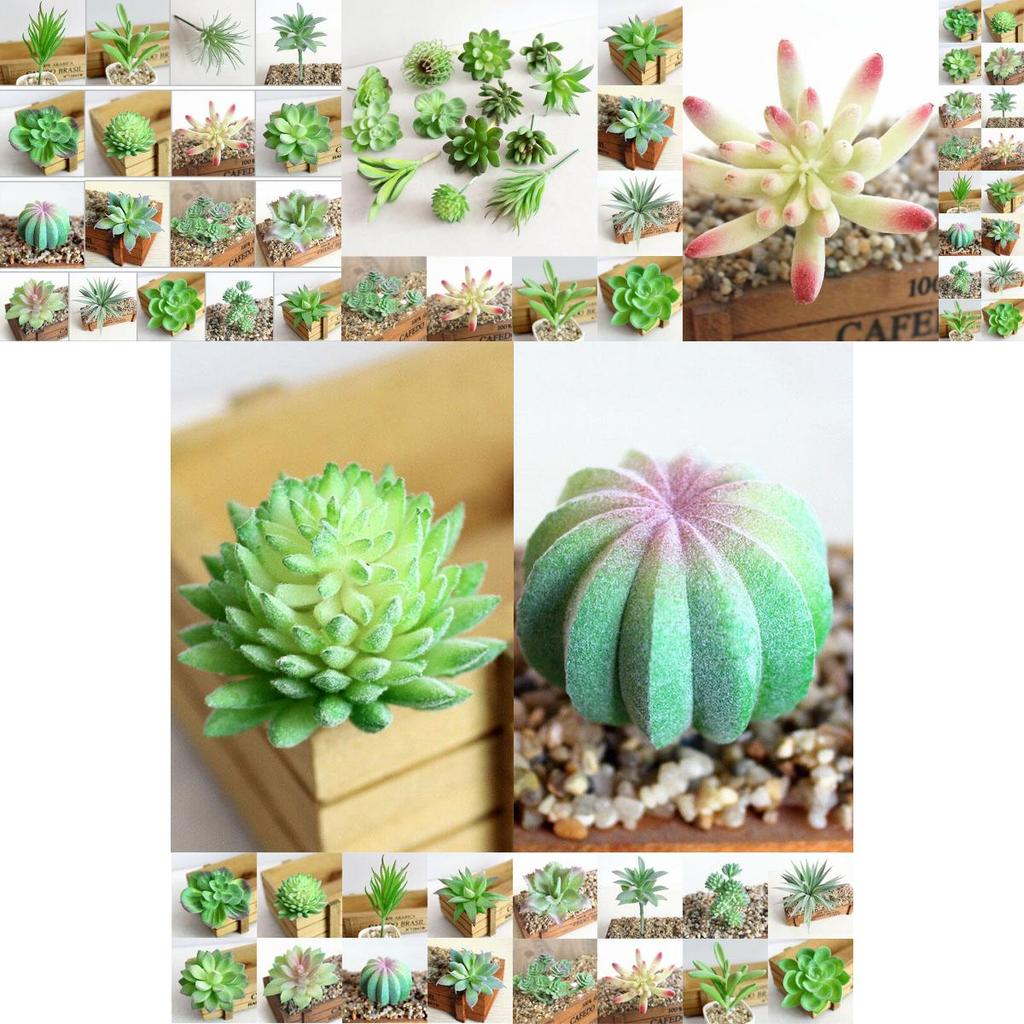 Ярко окрашенный искусственный суккулент для DIY, искусственное растение для реалистичного садового декора