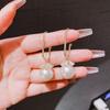 Роскошные и изысканные модные серьги с бахромой и элегантным шармом. Длинные жемчужные серьги для универсального и изысканного стиля.