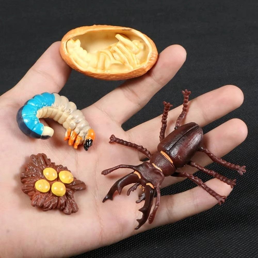 4 Pcs/Set Miniature Size Life Cycle Figurines Simulation Animal Models for Kids Educational Play