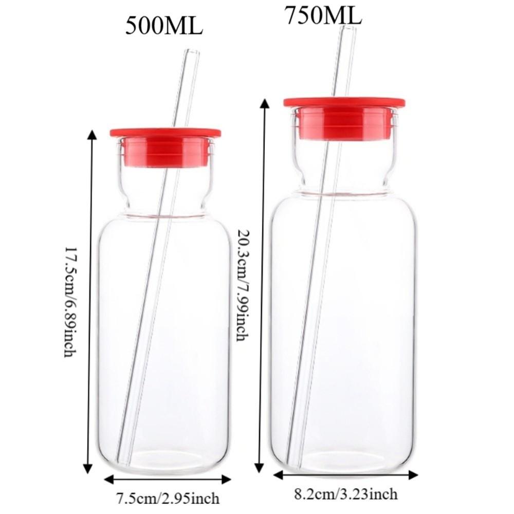 Heat Resistant Glass Water Bottle with Straw Silicone Lid Drink Cup Food Grade Juice Bottle  Bar