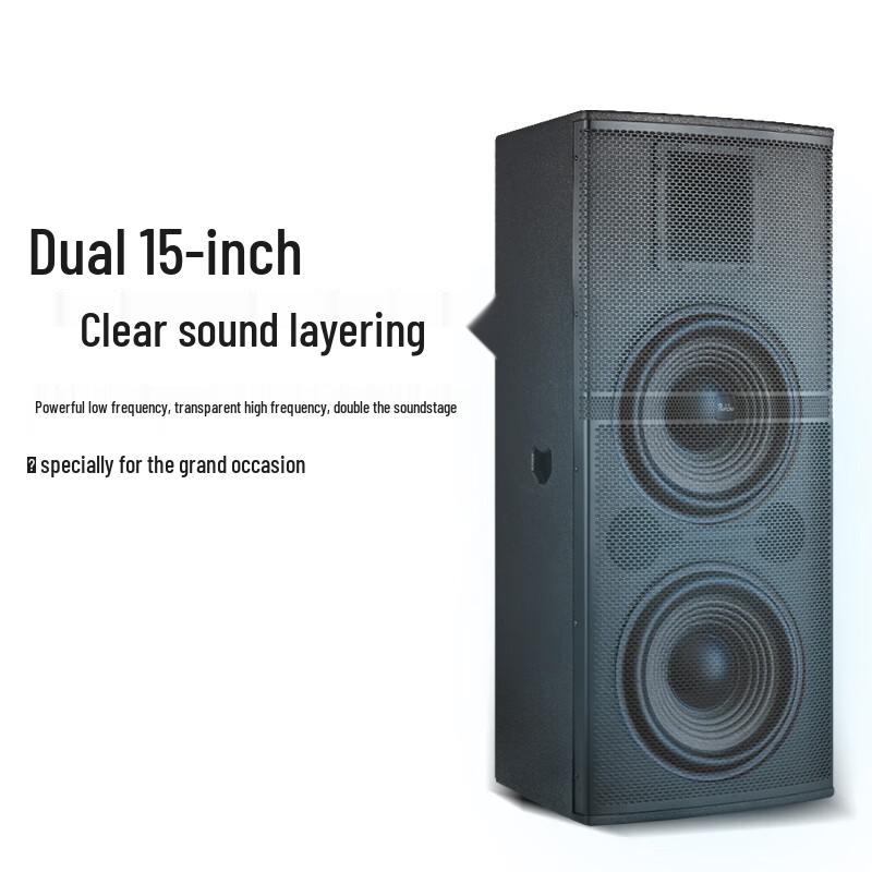 Runpu Professional Dual 15-inch Passive Conference Speaker (CN version)