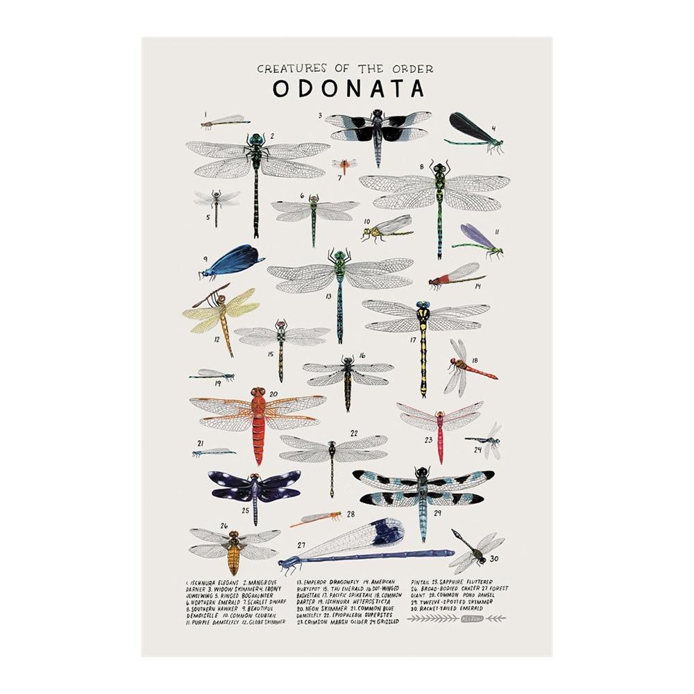 Абстрактные морские организмы медузы киты кальмары рыбы постеры холст картины и принты настенное искусство картина для комнаты домашний декор