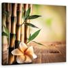 Canvas Print, Bamboo Zen Flowers
