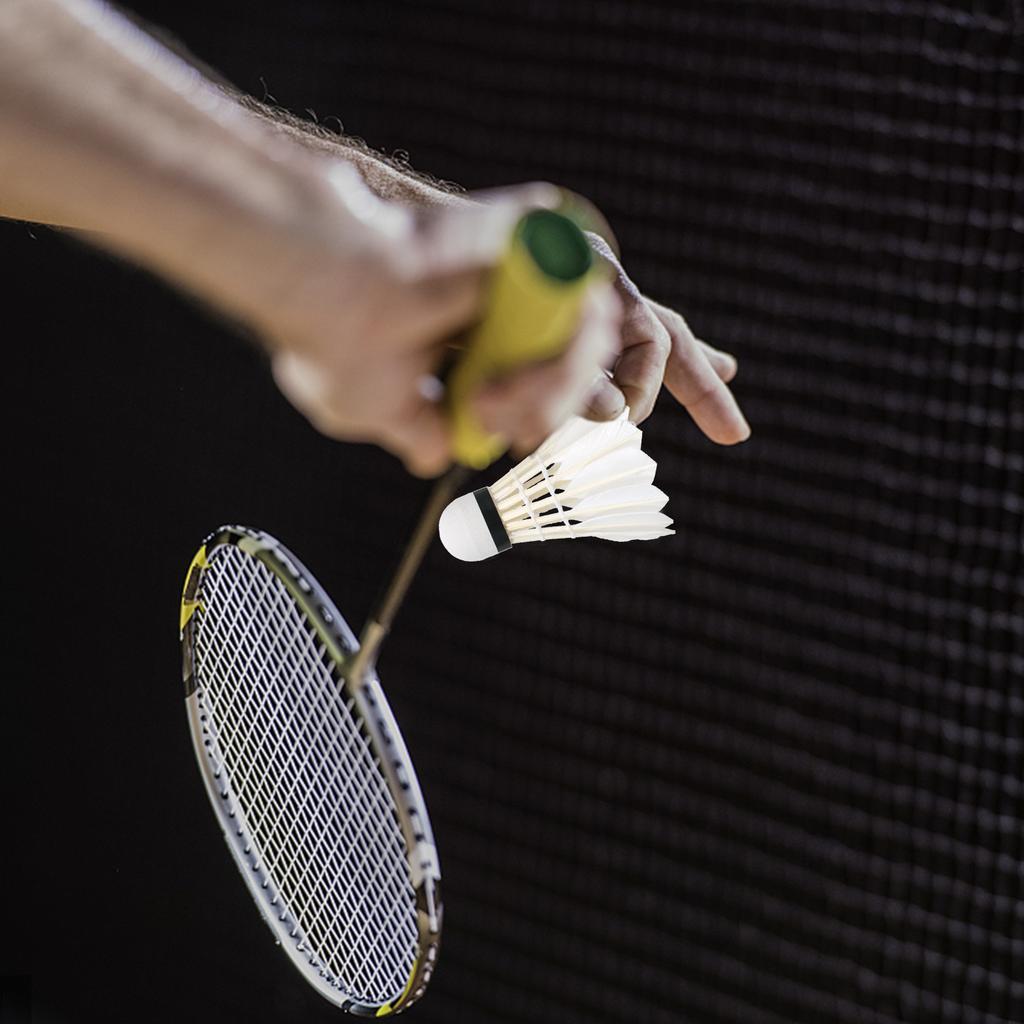 3pcs Badminton Shuttlecocks Indoor Outdoor Sports Badminton Balls Windproof Shuttlecock with Great Stability and
