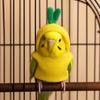 Warm Bird Transform Clothing Windproof Parrot Flight Suit Parrot Costume  Photo Prop