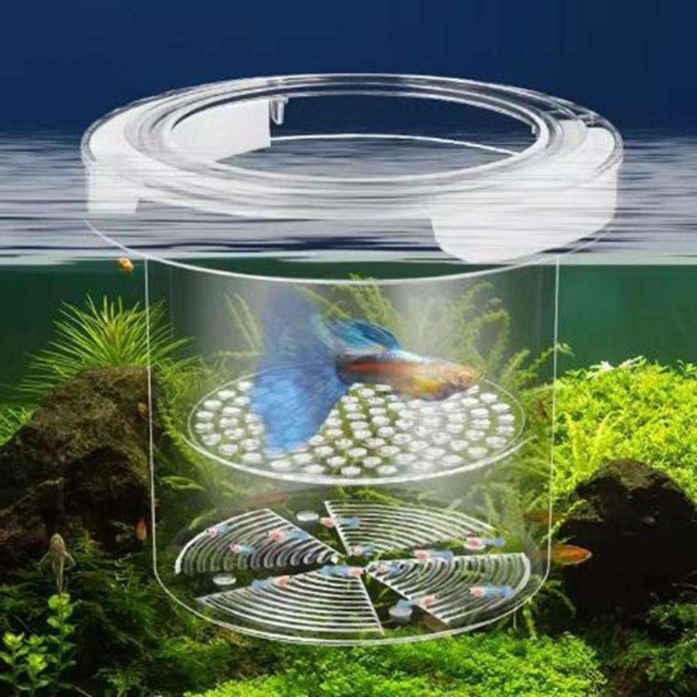 Suspension Floating Fish Breeding Isolation Box Transparent Fish Tank Hatching Box  Spawning Room