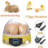 7 Eggs Capacity Incubator Mini Egg Incubator Brood Machine Chicken Duck Hatcher Electronic Automatic Incubator Brooder New