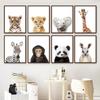 Lion Tiger Elephant Giraffe Zebra Panda Safari Nursery Wall Art Canvas Painting Posters And Prints Decor Pictures Baby Kids Room