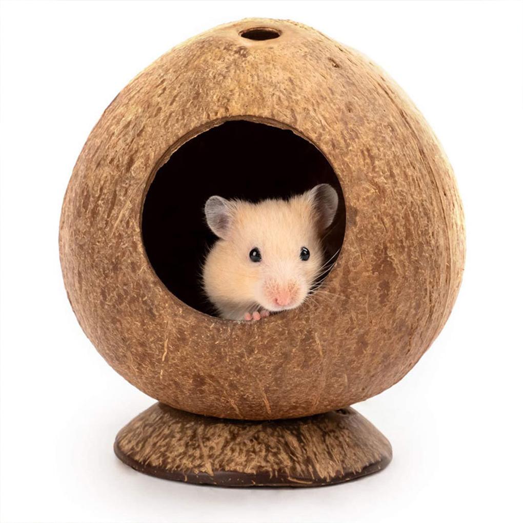 Coconut Hamster House - Easy To Care For And For Small Spaces Hideout Nest Pet Toy Unique Pets Terrarium-Friendly Pets