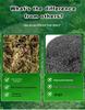 Original Dry Moss for Phalaenopsis Moisture Retention, Landscaping, and Terrariums - Custom Packaging