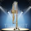 LADE Professional Bb Flat Brass Trumpet Instrument Set Kit Accessory (Gold)
